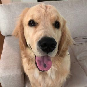 Meet your Posher, Kim